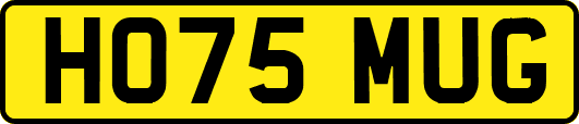 HO75MUG
