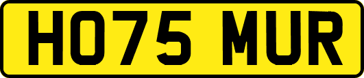 HO75MUR
