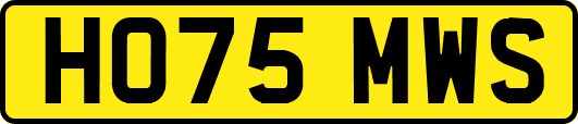 HO75MWS