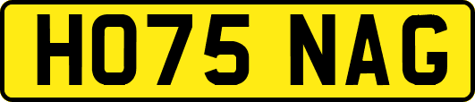 HO75NAG