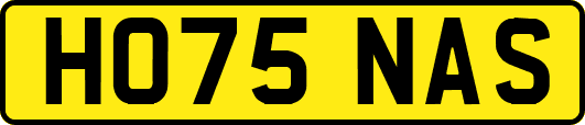 HO75NAS