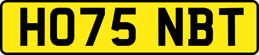 HO75NBT
