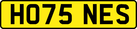 HO75NES