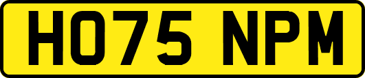 HO75NPM