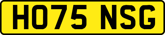 HO75NSG