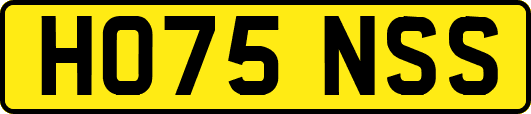 HO75NSS
