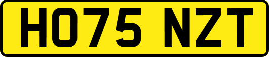 HO75NZT