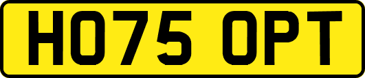 HO75OPT