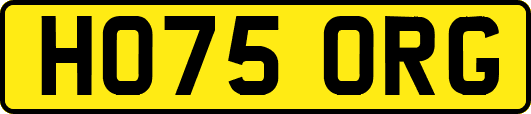 HO75ORG