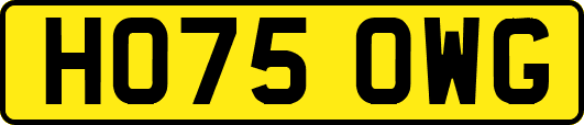 HO75OWG