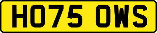 HO75OWS