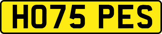 HO75PES