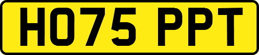 HO75PPT