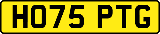 HO75PTG