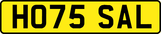 HO75SAL