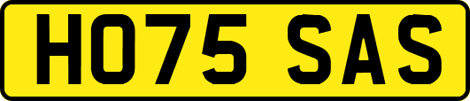 HO75SAS
