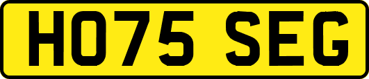 HO75SEG