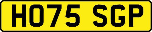 HO75SGP