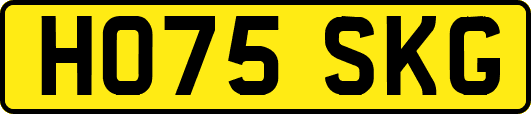 HO75SKG