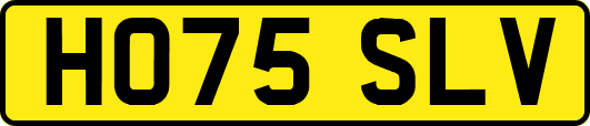 HO75SLV