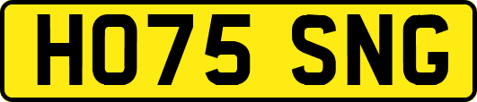 HO75SNG
