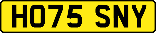 HO75SNY