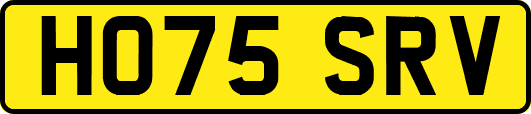 HO75SRV