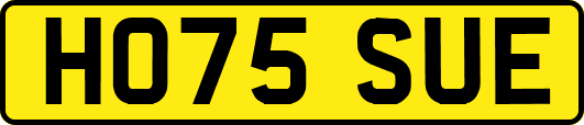 HO75SUE