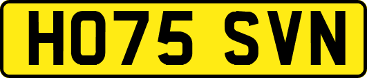 HO75SVN