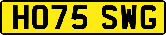 HO75SWG