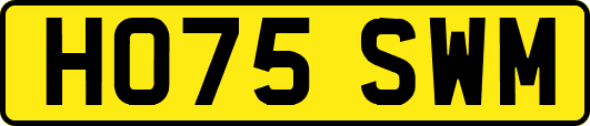 HO75SWM