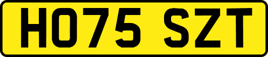 HO75SZT