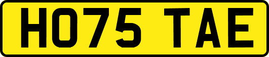 HO75TAE