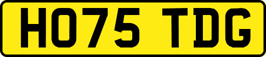HO75TDG