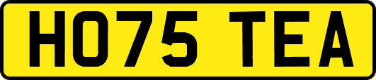 HO75TEA