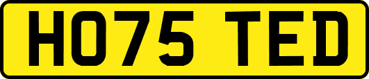 HO75TED