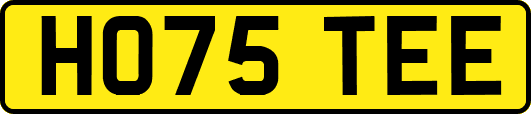 HO75TEE