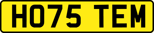 HO75TEM