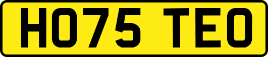 HO75TEO