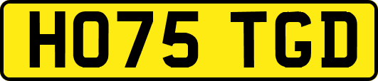 HO75TGD