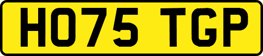 HO75TGP