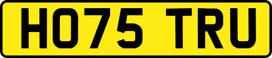 HO75TRU