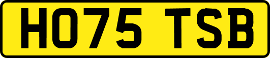 HO75TSB
