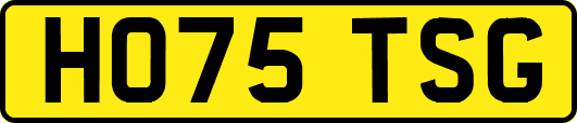 HO75TSG