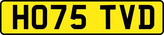 HO75TVD
