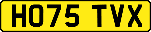 HO75TVX
