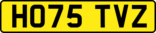 HO75TVZ