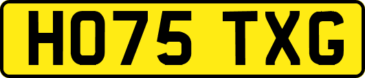 HO75TXG