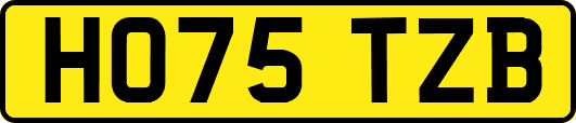 HO75TZB
