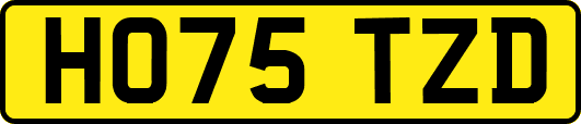 HO75TZD